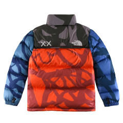 Kaws Collab 1996 Nuptse Puffer Down Jacket