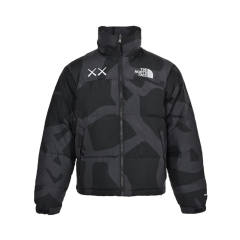 Kaws Collab 1996 Nuptse Puffer Down Jacket