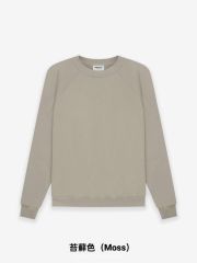 1:1 quality version Front Solid-Color Back Silicone Letter Pullover Sweatshirt 5 colors 28529899