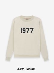 1:1 quality version 3D Flocked 1977 Digital Crewneck Pullover Sweatshirt 4 colors 28491693