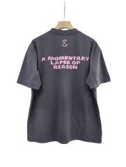 Pink Floyd Album Print Washed Version Tee 28756296