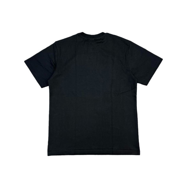 1:1 quality version Color-Blocked Ape Head Print Tee 2 colors 28694964