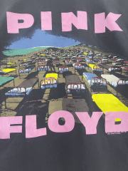 Pink Floyd Album Print Washed Version Tee 28756296