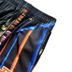 1:1 quality version New York Manhattan Night View Print Mesh Shorts 28893313