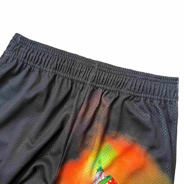 1:1 quality version Empire State Building Night View Print Mesh Shorts 28893309