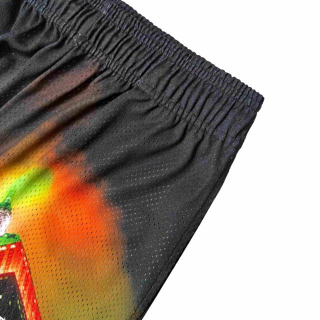1:1 quality version Empire State Building Night View Print Mesh Shorts 28893309