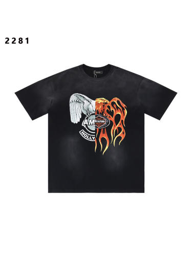 Eagle Flame Double-Pair Logo Print Washed Version tee 28750098