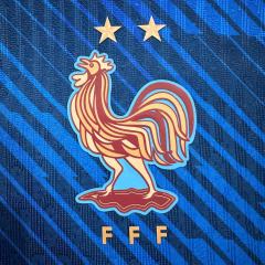 2026/2027 Les Bleus France Home Authentic Jersey 28892316