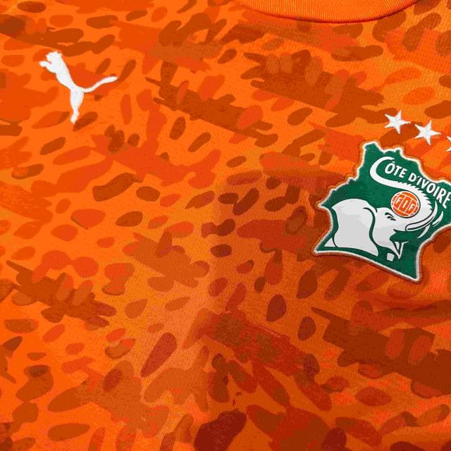 2026/2027 Orange Leopard Print Ivory Coast Home Replica Jersey 28898428