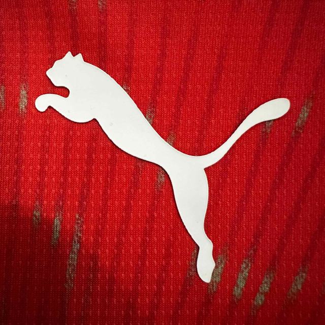 2026/2027 Red Shield Switzerland Home Replica Jersey 28892317
