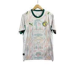 2026/2027 Dark Green Lions Senegal Away Jersey 2 Kind 28892320