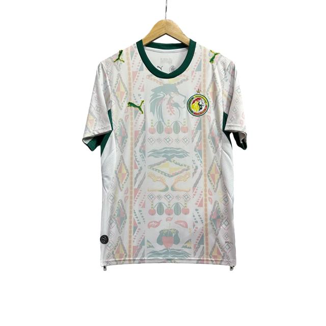 2026/2027 Dark Green Lions Senegal Away Jersey 2 Kind 28892320