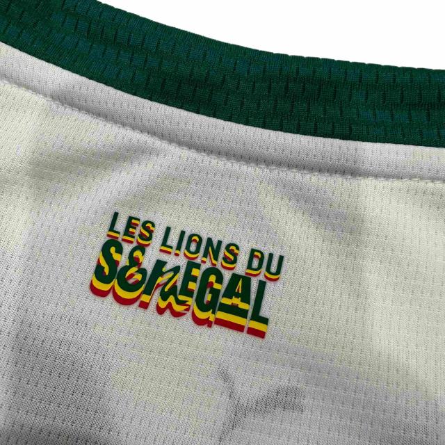 2026/2027 Dark Green Lions Senegal Away Jersey 2 Kind 28892320