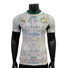 2026/2027 Dark Green Lions Senegal Away Jersey 2 Kind 28892320
