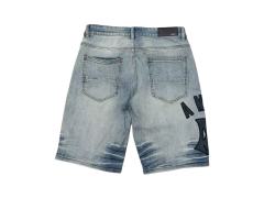 1:1 quality version Letter Pattern Embroidered Line Denim Shorts 28972420