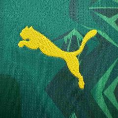 2026/2027 Dark Green Lions Senegal Home Jersey 2 Kind 28892321