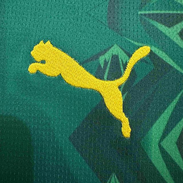2026/2027 Dark Green Lions Senegal Home Jersey 2 Kind 28892321