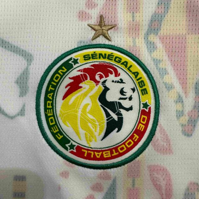 2026/2027 Dark Green Lions Senegal Away Jersey 2 Kind 28892320