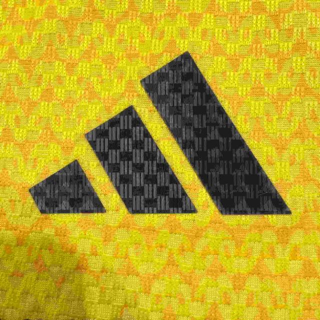 2026/2027 Yellow Green Stripes Jamaica Home Jersey 2 Kind 28898436