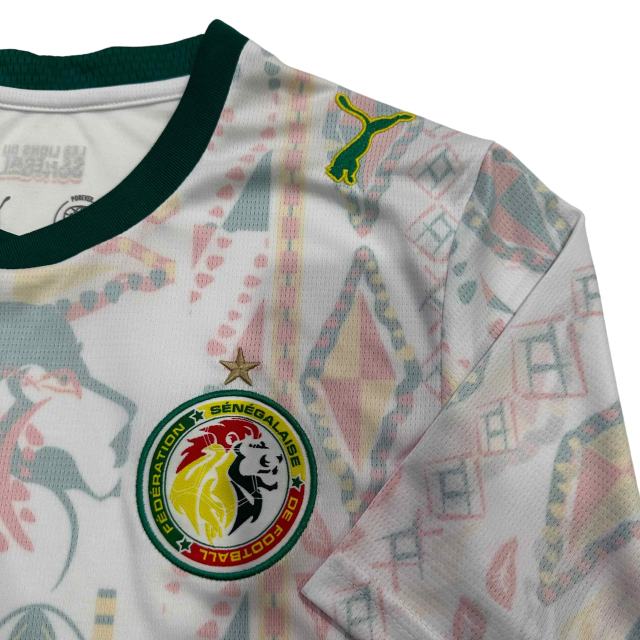 2026/2027 Dark Green Lions Senegal Away Jersey 2 Kind 28892320