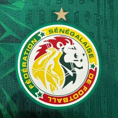 2026/2027 Dark Green Lions Senegal Home Jersey 2 Kind 28892321