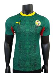 2026/2027 Dark Green Lions Senegal Home Jersey 2 Kind 28892321