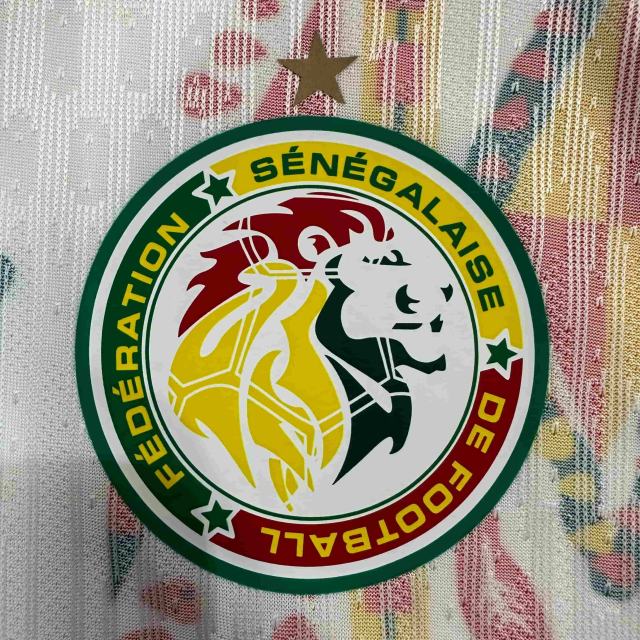 2026/2027 Dark Green Lions Senegal Away Jersey 2 Kind 28892320