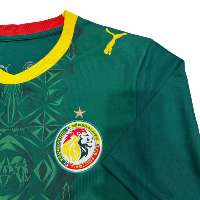 2026/2027 Dark Green Lions Senegal Home Jersey 2 Kind 28892321