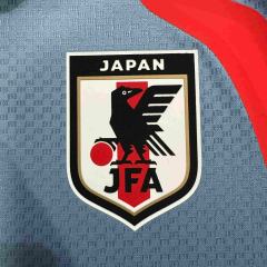 2026/2027 Grey-Blue Samurai Japan Away Authentic Jersey 28892318