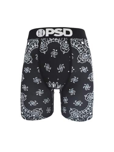 Cashew Flower Print Boxer Briefs 28628348