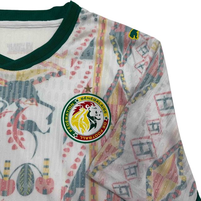 2026/2027 Dark Green Lions Senegal Away Jersey 2 Kind 28892320