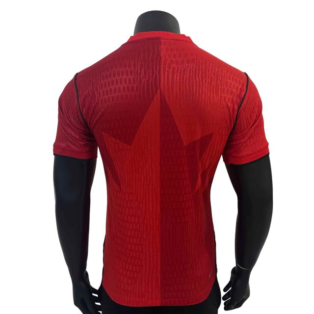2026/2027 Gradient Red Maple Canada Home Authentic Jersey 28898441