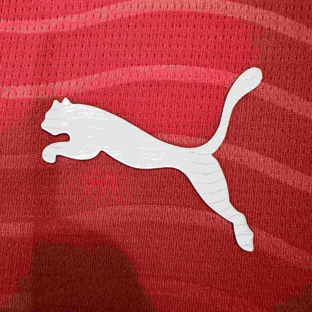 2026/2027 Burgundy Wave Pattern Portugal Home Jersey 2 Kind 28898443