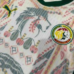 2026/2027 Dark Green Lions Senegal Away Jersey 2 Kind 28892320