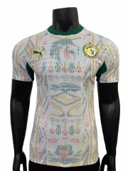 2026/2027 Dark Green Lions Senegal Away Jersey 2 Kind 28892320