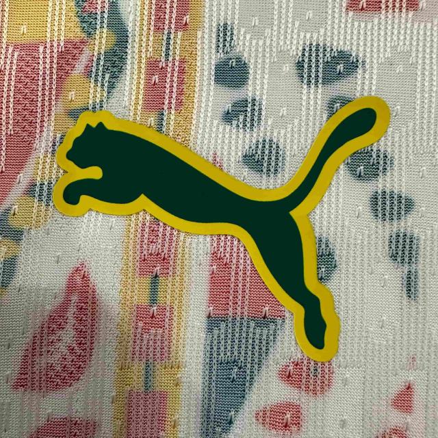 2026/2027 Dark Green Lions Senegal Away Jersey 2 Kind 28892320
