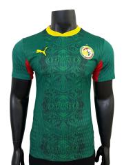 2026/2027 Dark Green Lions Senegal Home Jersey 2 Kind 28892321