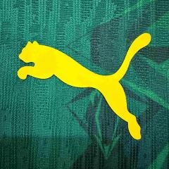 2026/2027 Dark Green Lions Senegal Home Jersey 2 Kind 28892321
