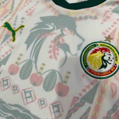 2026/2027 Dark Green Lions Senegal Away Jersey 2 Kind 28892320