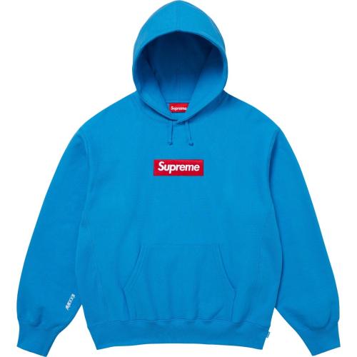 SUPREM* BOX LOGO HOODIE TEAL