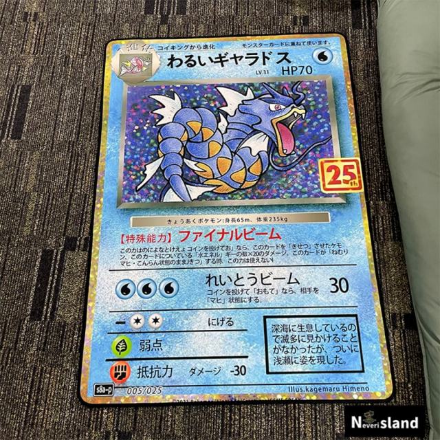 Pokemen Gyarados Rug