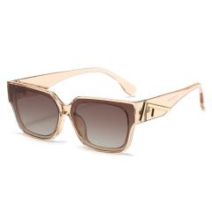 [Special Offer] F Glasses