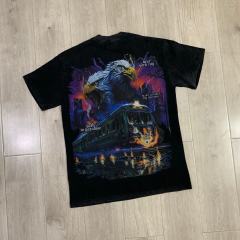 Lightning Eagle Train Rhinestone Print Washed Tee 29064548