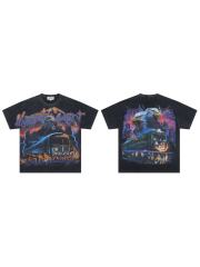 Lightning Eagle Train Rhinestone Print Washed Tee 29064548