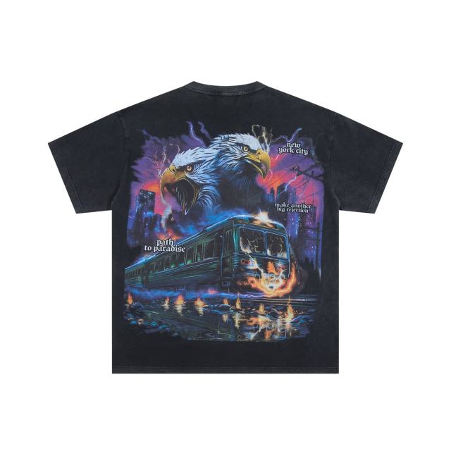 Lightning Eagle Train Rhinestone Print Washed Tee 29064548