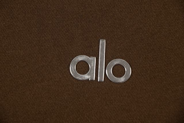 Metal Logo On Chest Solid Color Hoodie 5 colors 29115035