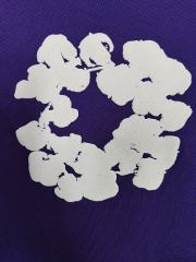 [1:1 Top Quality] Denim Tears Purple Cotton Wreath Shorts