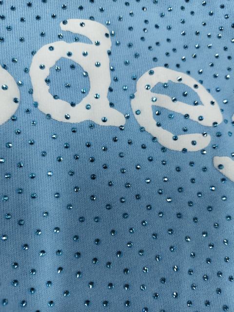 [On Sale] Sp*der All Over VVS Rhinestone Pullover Hoodie