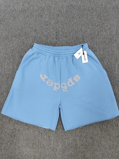 Light Sky Blue Tonal Grey Reversed Arch Sweat Shorts