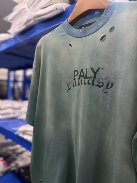Paly Hollywood Vintage Distressed Graphic Tee